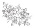 Hand Drawn Floral Bunch with Roses, Buds and Leaves Royalty Free Stock Photo