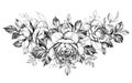 Hand Drawn Rose  Flowers Bunch Royalty Free Stock Photo
