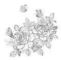 Hand Drawn Rose Flowers and Butterflies Royalty Free Stock Photo