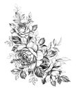 Hand Drawn Rose Flowers Composition Royalty Free Stock Photo