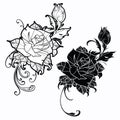 Hand Drawn Rose Flowers Composition