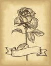 Hand drawn rose and ribbon banner on old craft paper texture background. Template for your design works. Royalty Free Stock Photo