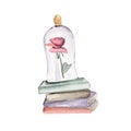 A hand drawn rose under a glass jar stands on a stack of books from a fairy tale