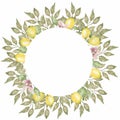 Hand drawn round wreath of watercolor lemon with flowers and leaves. Watercolor illustration wreath of lemon and leaves. Can be Royalty Free Stock Photo