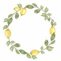 Hand drawn round wreath of watercolor lemon. Watercolor illustration wreath of lemon and leaves. Can be used as a greeting card
