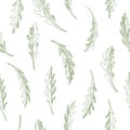 Hand drawn rucola leaves. Vector pattern