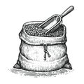 Hand drawn sack with coffee beans with wooden scoop. Sketch vintage Royalty Free Stock Photo