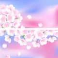 Hand drawn sakura blossom peach white flower plant decorative illustration, blue pink gradient vector banner