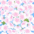 Hand drawn sakura blossom peach white flowers botanical decorative illustration, blue gradient seamless vector background