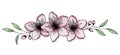 Hand drawn sakura flowers decoration in ink and pencil, elegant cherry blossom flowers isolated, sakura floral arrangement