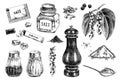 Hand drawn salt and pepper icons Royalty Free Stock Photo