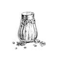 Hand drawn salt shaker and crystals