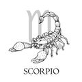 Hand drawn Scorpio. Zodiac symbol in vintage gravure or sketch style. Old-fashioned scorpion in attack pose. Retro astrology const