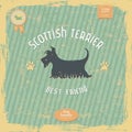 Hand drawn Scottish Terrier vintage typography poster