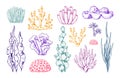 Hand Drawn Sea Coral, Ocean Plants. Vintage Underwater Elements, Seaweed Reef, Sketch Fauna Leaf, Nature Aquarium Algae