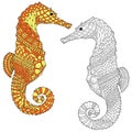 Hand drawn sea horse. Anti stress coloring page, zentangle art, ethnic doodle pattern Royalty Free Stock Photo