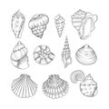 Hand drawn sea shells. Starfish shellfish tropical mollusk in vintage engraving style. Seashell isolated vector Royalty Free Stock Photo