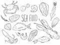 Hand drawn Seafood set. Decorative icons Squid, Octopus, salmon, oysters, scallops, lobster, red perch ,crab, shellfish and