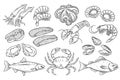 Hand drawn Seafood set.