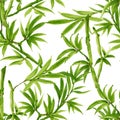 Hand drawn seamless background Bamboo pattern inspired by chinese Korean and Japan kimono yukata background backdrop watercolor