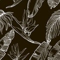 Hand Drawn Seamless Background With Banana Leaves And Tropical F
