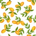 Hand drawn seamless background Orange Kumquat pattern inspired by chinese Korean and Japan kimono yukata background backdrop