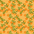 Hand drawn seamless background pattern Mandarin Tangerine inspired by chinese Korean and Japan kimono yukata background backdrop