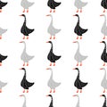 Hand-drawn seamless goose pattern. Engraved illustration style. Template for your design work.stylized bird with a folk