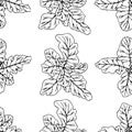 Hand-drawn seamless image of beet leaves top view