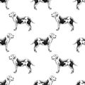 Hand drawn seamless pattern with american bulldogs Royalty Free Stock Photo