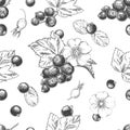 Hand drawn seamless pattern black and white of blossom dogrose flower, currant, plant, leaf. Vector illustration