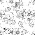 Hand drawn seamless pattern black and white of blossom dogrose flower, plant, leaf. Vector illustration. Elements in