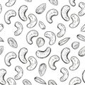Hand drawn seamless pattern black and white of nuts, peanuts, almonds, pecans, cashews, hazelnuts. Vector illustration