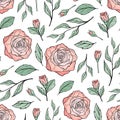 Hand drawn seamless pattern of blooming pink roses. Colorful flowers and branches with leaves. Decorative floral vector Royalty Free Stock Photo