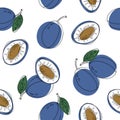 Hand drawn seamless pattern with blue plums. Vector illustration. Good for background, wallpaper, textile, wrap and etc. Royalty Free Stock Photo