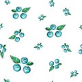 Hand drawn Seamless pattern with blueberry