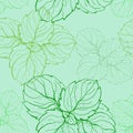 Hand drawn seamless pattern with colorful mint leaves.