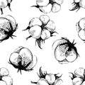 Hand drawn seamless pattern with cotton plant Royalty Free Stock Photo