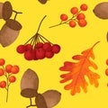 Hand drawn seamless pattern with fall autumn leaf leaves berry berries, maple oak acorn. Natural wild forest wood Royalty Free Stock Photo