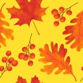 Hand drawn seamless pattern with fall autumn leaf leaves berry berries, maple oak acorn. Natural wild forest wood Royalty Free Stock Photo