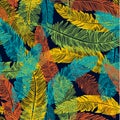 Hand drawn seamless pattern of feathers. Color of brazil flag.