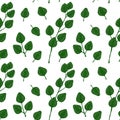Hand drawn seamless pattern with green eucalyptus branch with leaves isolated on white background. Vector illustration in sketch Royalty Free Stock Photo