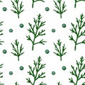 Hand drawn seamless pattern with green juniper branches with berries isolated on white background. Vector illustration in sketch Royalty Free Stock Photo