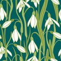 Hand drawn seamless pattern of green snowdrop galanthus flower with white leaves. Spring forest plant, pastel nature