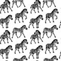 Hand drawn seamless pattern illustration with safari animals. Cute african zebra Royalty Free Stock Photo