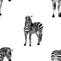 Hand drawn seamless pattern illustration with safari animals on zebra print background . Cute african zebra. Wild animal texture d Royalty Free Stock Photo