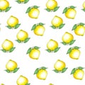 Hand drawn seamless pattern with Ink sketch and watercolor yellow lemons and leaves on white background. Royalty Free Stock Photo