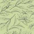 Hand-drawn seamless pattern matcha leaves on the green background