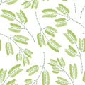 Hand drawn seamless pattern with mint leaves, peppermint, spicy herbs, kitchen texture. Doodle cooking ingredient for design Royalty Free Stock Photo