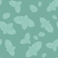 Hand drawn seamless pattern with mint leaves, peppermint, spicy herbs, kitchen texture.